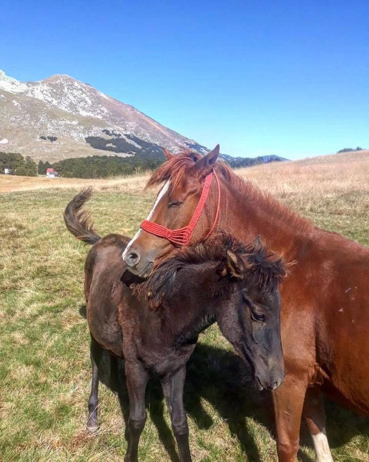 Etno Selo Smrcevo Brdo Zabljak (Zabljak)